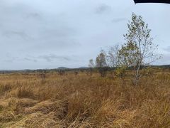 -塞罕坝国家级自然保护区