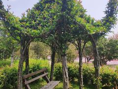 -南通洲际绿博园