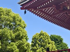 -浅草寺