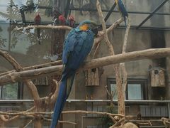 -大连森林动物园