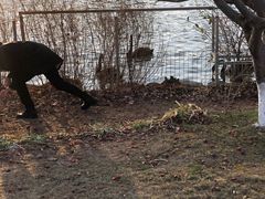 -春晖园度假酒店温泉