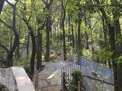 -南山植物园