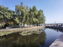 -八大关景区
