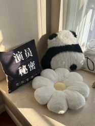 点击看大图 -演员的秘密·皮肤管理