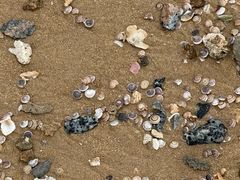 -海南清水湾莱佛士酒店