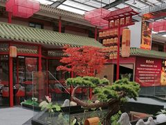 -老山东·山东菜(鲁菜名店)