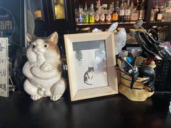-候鸟咖啡(前门店)