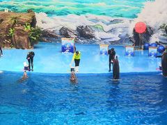 -多彩贵州城极地海洋世界