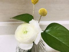 -双季花艺园艺市场(浦东店)
