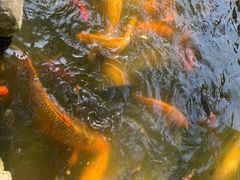 -老桂湖公园-杨升庵博物馆