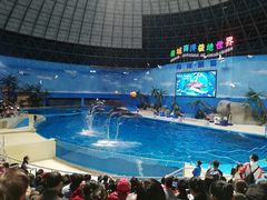 -泉城欧乐堡海洋极地世界