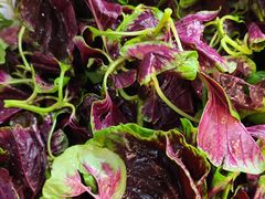 -黔府豆米火锅野菜馆(南马店)