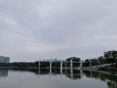 -东莞植物园