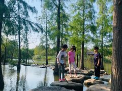 -上海长兴岛郊野公园