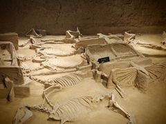 -洛阳周王城天子驾六博物馆