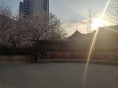 -长安寺