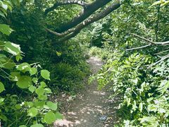 -青龙山国家森林公园