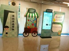 -九龙公园