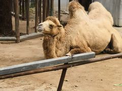 -祥源·阜阳生态乐园