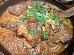 -老板恋上鱼(高新万达店)