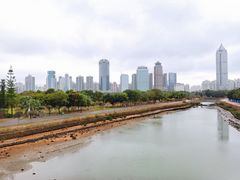 -万绿园