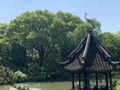 -上海醉白池公园