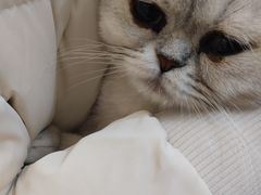 -觅时光手作·香薰·拼豆豆·陶艺DIY