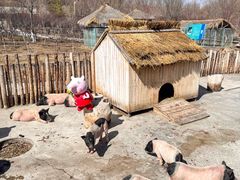 -水上乐园·欢乐世界