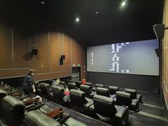 -万达影城(闵行颛桥万达广场杜比影院店)