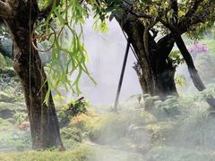 -Chom Cafe and Restaurant