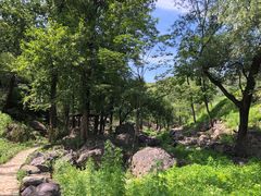-妙峰山风景名胜区