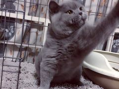 -悠尼宠物·独立低压伊珊娜洗护·美容·寄养(兰谷路店)