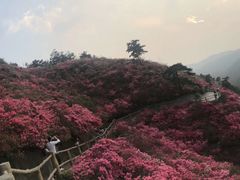 -木兰云雾山