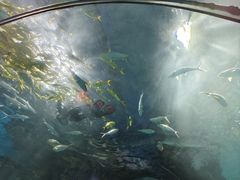 -福州罗源湾海洋世界旅游区