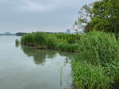 -长广溪湿地公园