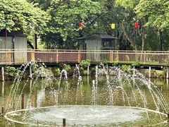 -陶缘一号·四季缘·老字号顺德菜·户外婚礼家宴(西滘店)