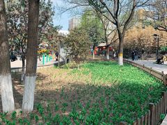 -丰台花园