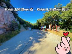 -北京西山国家森林公园