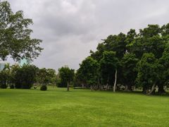 -万绿园