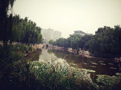 景点-文瀛公园