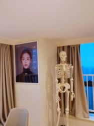 -颜和骨正·明哲式骨相美学整骨