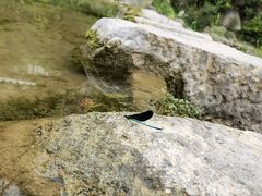 -沕沕水生态风景区