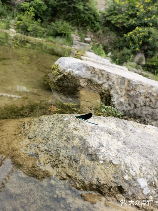 沕沕水生态风景区图片