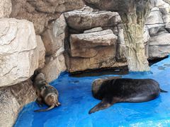 -华夏文旅海洋公园