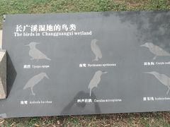 -长广溪湿地公园