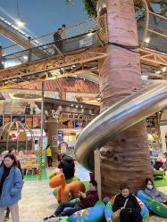 -卡通尼·Safari非洲探索乐园·生日会(金桥国际商业广场店)