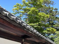 -京都御所