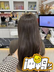 -YESIDO椰岛造型