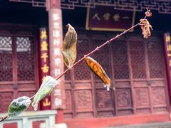 -惠山古镇·寄畅园