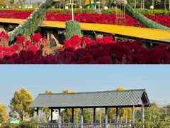-广东花都香草世界旅游度假区